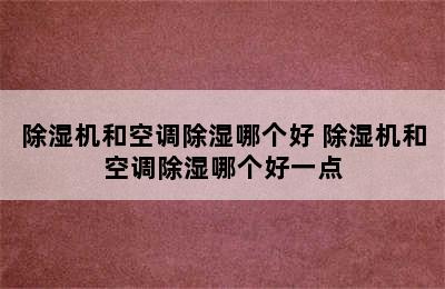 除湿机和空调除湿哪个好 除湿机和空调除湿哪个好一点